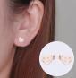 morepic-3